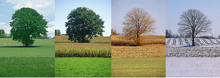 《方舟生存飞升》新生物“星灵蛛”生物图谱首曝，“方舟俱乐部”玩法更新